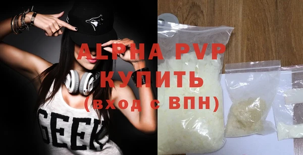 шишки Белоозёрский