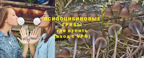 бошки Богородск