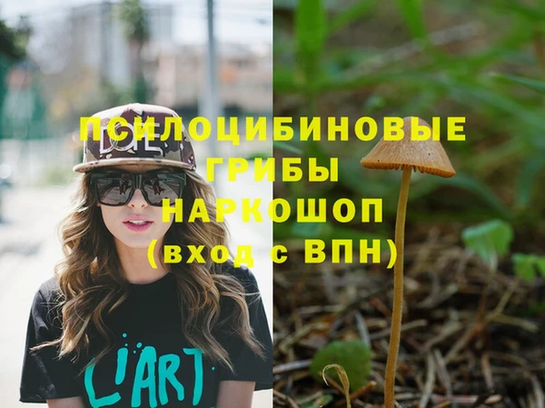 бошки Богородск
