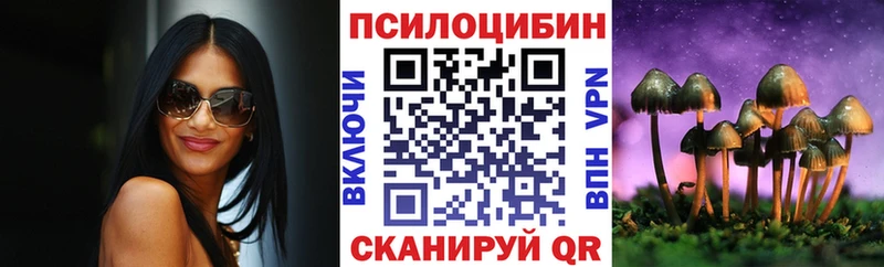 Купить  Скопин  Галлюциногенные грибы Psilocybe 